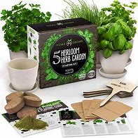 Medicinal Garden Kit – BRAND NEW! in 2023